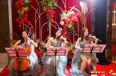 外籍樂隊、小提琴四重奏、爵士樂隊